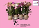 Promo Phalaenopsis 2 tiges à 7,90 € dans le catalogue E.Leclerc à Vandœuvre-lès-Nancy