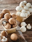 Champignon de Paris - INTERMARCHÉ TERROIRS dans le catalogue Intermarché Hyper