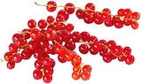 Johannisbeeren im aktuellen Kaufland Prospekt