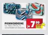 Aktuelles Picknickdecke Angebot bei E center in Ludwigshafen (Rhein) ab 7,99 €