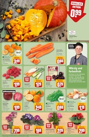 Ähnliche Tulpen Angebote im Prospekt "Dein Markt" von REWE in Heidenheim Ähnliche Angebote wie Tulpen im Prospekt "Dein Markt" auf Seite 9 von REWE in Heidenheim