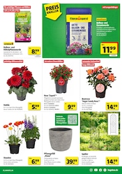 Aktueller Hagebaumarkt Prospekt mit Gartenerde, "GENIESSE DIE KRAFT DER SONNE", Seite 3