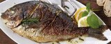 Dorade Rosmarin-Salbei-Melisse im Angebot bei EDEKA in Lingen Dorade Rosmarin-Salbei-Melisse Angebote bei EDEKA Lingen für 1,49 €