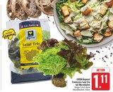 Aktuelle Salat Angebote bei E center in Nürnberg Aktuelles Fränkisches Salat Trio Angebot bei E center in Nürnberg ab 1,11 €