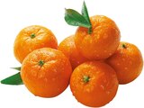 Clementinen im REWE Prospekt Clementinen von REWE Bio im aktuellen REWE Prospekt fĂĽr