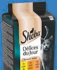 Super U Zonza - Promo Tout Sheba Promo Tout Sheba à dans le catalogue Super U à Zonza