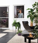 Aluminium-Fliegengitterbausatz für Fenster für 18,99 € bei Netto mit dem Scottie im Angebot Aluminium-Fliegengitterbausatz für Fenster im aktuellen Netto mit dem Scottie Prospekt