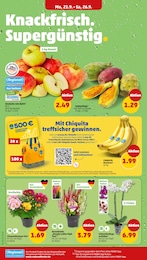 Pflanzen Angebot & Preis im aktuellen Penny Prospekt Pflanzen Angebot im aktuellen Penny Prospekt auf Seite 2