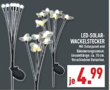 LED-Solar-Wackelstecker Angebote bei Marktkauf Osnabrück für 4,99 €