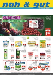 nah und gut Prospekt für Gattendorf: "Wir lieben Lebensmittel!", 4 Seiten, 09.03.2026 - 14.03.2026