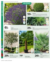 Palmier Angebote im Prospekt "PRÉPAREZ L’AUTOMNE : JARDIN - BRICOLAGE" von Carrefour Market auf Seite 6
