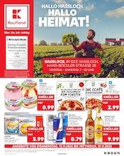 Kaufland Supermarkt Prospekt der aktuellen Woche mit 66 Seiten, gültig von 13.11.2025 bis 19.11.2025, in Neustadt und Umgebung Aktueller Kaufland Supermarkt Prospekt in Neustadt und Umgebung, "Aktuelle Angebote" mit 66 Seiten, 13.11.2025 - 19.11.2025