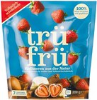 Eis von TrüFrü im aktuellen Netto mit dem Scottie Prospekt