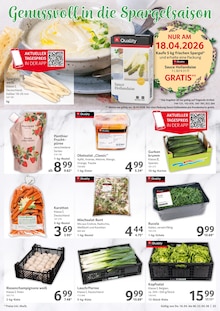 Champignons im aktuellen Selgros Prospekt (Duisburg) Champignons im Selgros Prospekt "HIER KAUFEN PROFIS & GENIESSER" mit 24 Seiten (Duisburg)