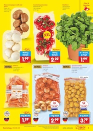 Zwiebeln Angebot & Preis im aktuellen Netto Marken-Discount Prospekt Zwiebeln Angebot im aktuellen Netto Marken-Discount Prospekt auf Seite 5