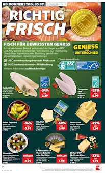 Fisch im aktuellen Kaufland Prospekt (Halle (Saale)) Fisch im Kaufland Prospekt "Hier bin ich richtig" mit 60 Seiten (Halle (Saale))