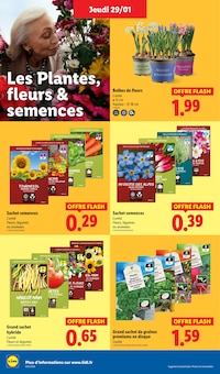 Promotion Jardin dans le prospectus Lidl, valable du 29/01/2026 au 04/02/2026 Promo Jardin dans le catalogue Lidl du moment à la page 28