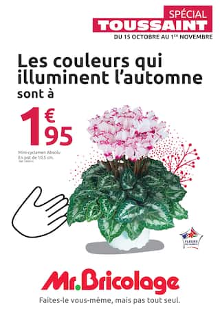 SP&Eacute;CIAL TOUSSAINT
