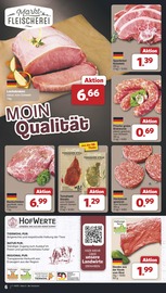 Bratwurst im famila Nordwest Prospekt in Wilhelmshaven Aktueller famila Nordwest Prospekt mit Bratwurst, "Markt - Angebote", Seite 6