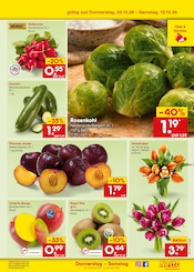 Mango im Netto Marken-Discount Prospekt in Hanau Aktueller Netto Marken-Discount Prospekt mit Mango, "Aktuelle Angebote", Seite 51