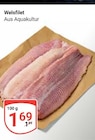 Welsfilet im aktuellen Prospekt bei GLOBUS in Mittelreidenbach
