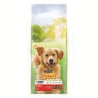 Croquettes pour chien - FRISKIES en promo chez U Express Reims à 17,49 €