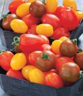 Tomate cerise - INTERMARCHÉ TERROIRS en promo chez Intermarché Express Toulouse à 1,99 €