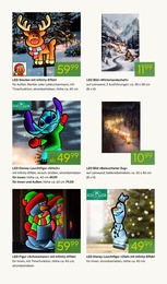 Bilder Angebot & Preis im aktuellen Pflanzen Kölle Prospekt Bilder Angebot im aktuellen Pflanzen Kölle Prospekt auf Seite 19