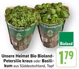 Petersilie kraus bei E center im Teningen Prospekt für 1,79 €