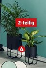 Pflanztopf-Set Angebote bei Penny Fellbach für 8,99 €
