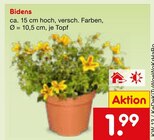Bidens Angebote bei Netto Marken-Discount Augsburg für 1,99 €