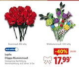 Rosenstrauß von Lupilu im aktuellen Lidl Prospekt für 17,99 €