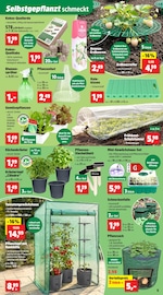 Rankhilfe im Thomas Philipps Prospekt in Darmstadt Aktueller Thomas Philipps Prospekt mit Rankhilfe, "Top Angebote", Seite 9