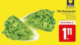 Mini-Romanasalat von Edeka im aktuellen EDEKA Prospekt für 1,11 €