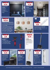 Pflanzen im Profi-Baumarkt Eifel Prospekt in Euskirchen Aktueller Profi-Baumarkt Eifel Prospekt mit Pflanzen, "Kompetent. Persönlich. Regional.", Seite 3