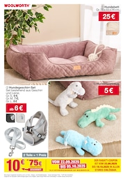 Hundebett Angebot im aktuellen Woolworth Prospekt auf Seite 72