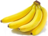 Bananen im aktuellen Netto mit dem Scottie Prospekt