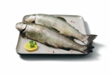Aktuelles ASC Frische Regenbogenforelle Angebot bei Lidl in Dortmund ab 6,00 €
