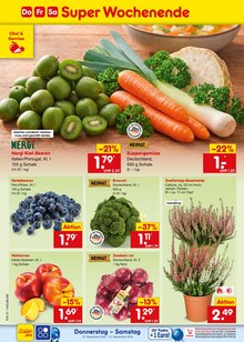Pflanzen im Netto Marken-Discount Prospekt "Aktuelle Angebote" mit 73 Seiten (Aachen)