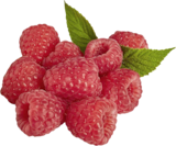 Himbeeren bei EDEKA im Prospekt "" für 1,49 €