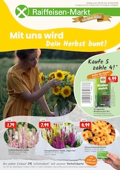 Aktueller Raiffeisen Rhein-Ahr-Eifel Handelsgesellschaft mbH Baumärkte Prospekt in Kall und Umgebung, "Mit uns wird dein Herbst bunt!" mit 8 Seiten, 06.09.2025 - 20.09.2025