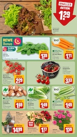 Kochtopf im REWE Prospekt in Offenbach Aktueller REWE Prospekt mit Kochtopf, "Dein Markt", Seite 7