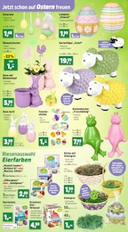 Thomas Philipps Fasching im Prospekt 