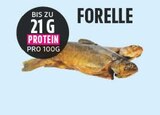 Aktuelle Forelle Angebote bei E center in Fürth Aktuelles Forelle Angebot bei E center in Fürth