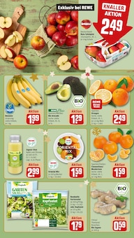Obst im REWE Prospekt "Dein Markt" mit 20 Seiten (Frankfurt (Main))
