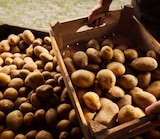 Angebot im REWE Werder (Havel) Prospekt REWE Werder (Havel) Prospekt mit im Angebot fĂŒr 1,50 âŹ