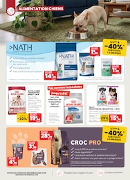 Offre Croquettes chien adulte dans le catalogue Animalis du moment à la page 4
