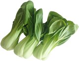 Bio Pakchoi Angebote von REWE Bio bei REWE Landshut für 1,99 €