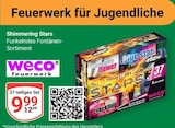 Aktuelle Feuerwerk Angebote bei GLOBUS in Mannheim Aktuelles Shimmering Stars Angebot bei GLOBUS in Mannheim ab 9,99 €