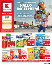 Kaufland Prospekt Aktuelle Angebote mit  Seiten in Dörscheid und Umgebung